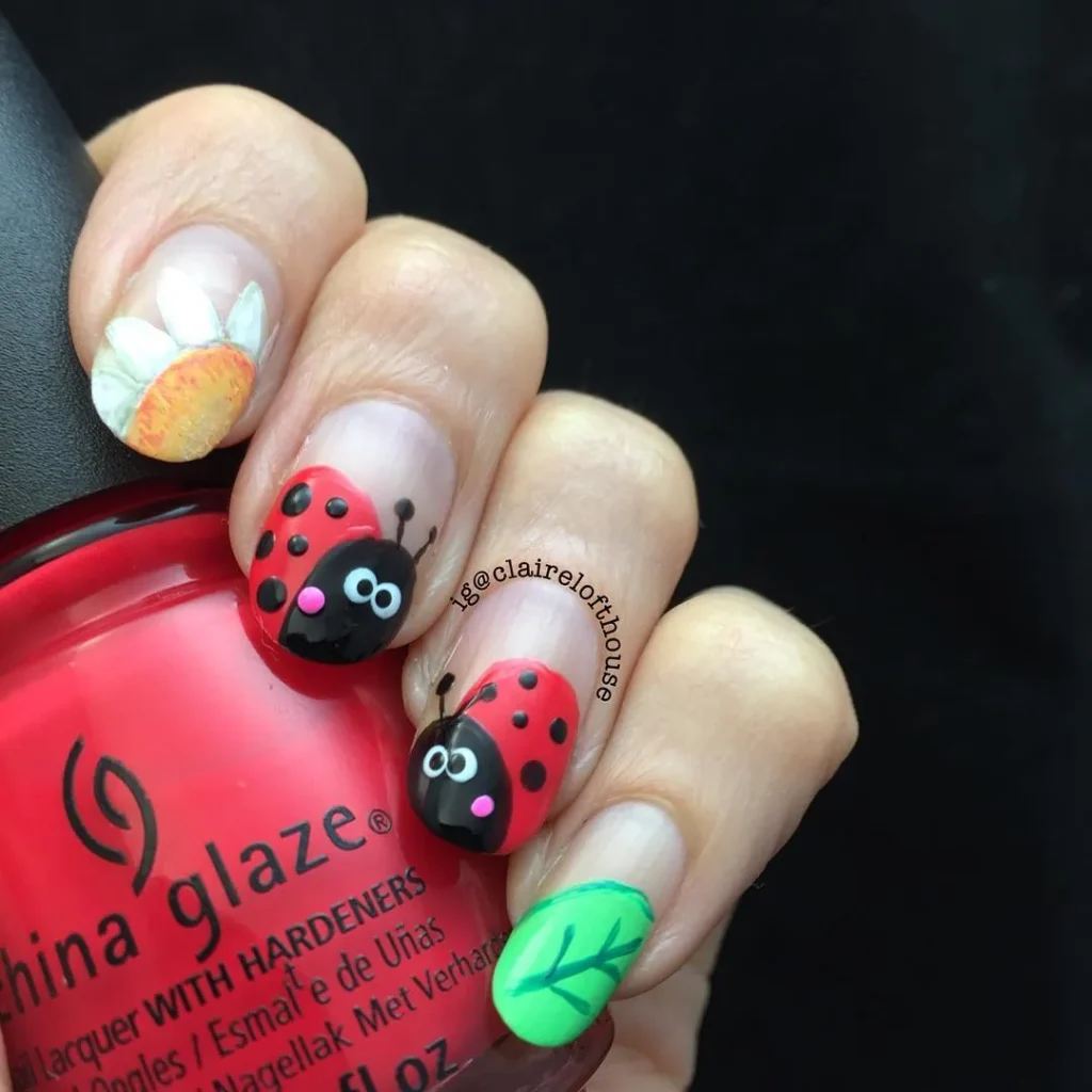 Red and black ladybugs